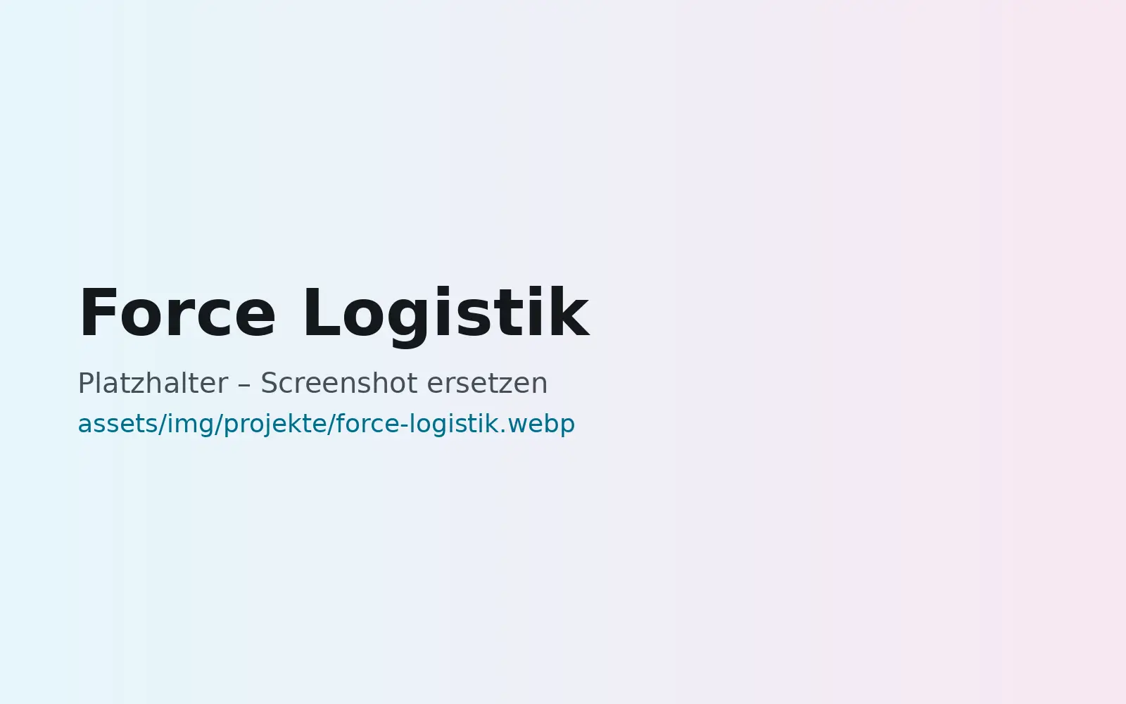 Webseite Force Logistik, gestaltet von MaWe Design