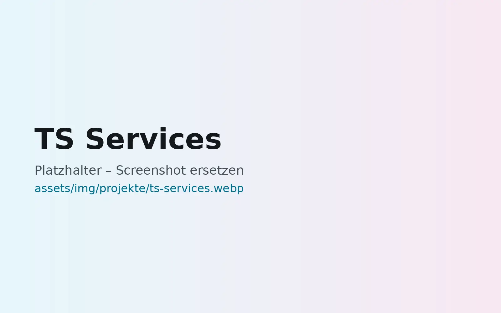 Webseite TS Services, gestaltet von MaWe Design